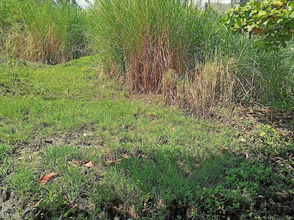 159844829_3980292591991865_8019369922846997429_o