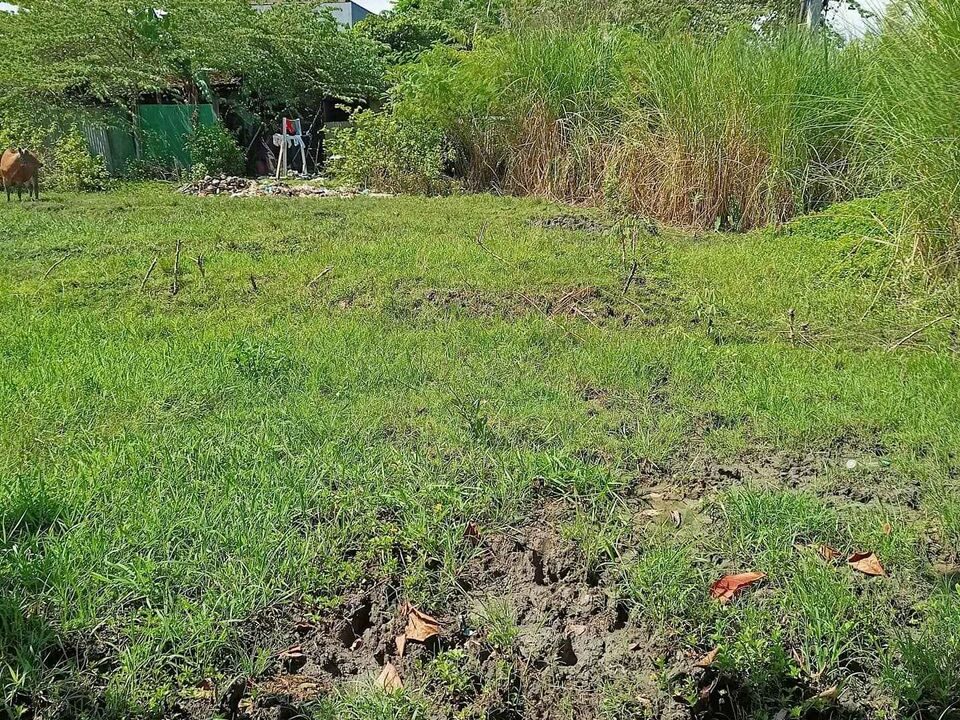 159948292_3980292971991827_4826181440484947936_o